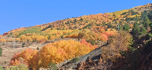 Şenkaya Erzurum Şenkaya Şenkaya Erzurum Şenkaya