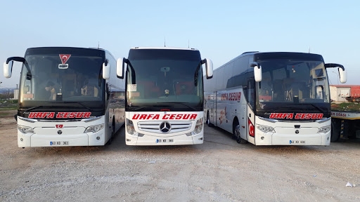 Urfa Cesur Turizm Şanlıurfa Urfa Cesur Turizm Şanlıurfa