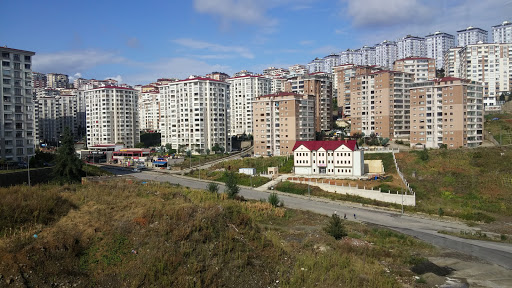 Vadi Halı Yıkama Trabzon Vadi Halı Yıkama Trabzon