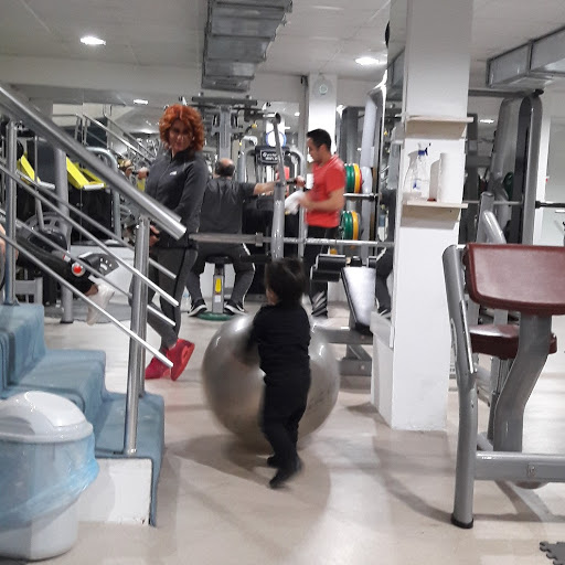 World Fitness Gym Ordu 