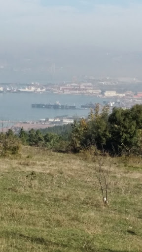 Yalova Emlak Ofisi Yalova Merkez Yalova Emlak Ofisi Yalova Merkez