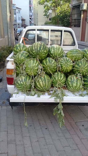 Yiğit Market Denizli Yiğit Market Denizli